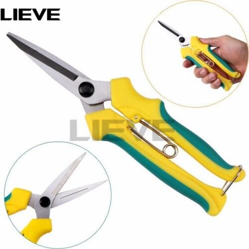 New Straight mouth Fruit tree scissors orchard Rare fruit Gardening Bonsai tool Garden supplies hand tool