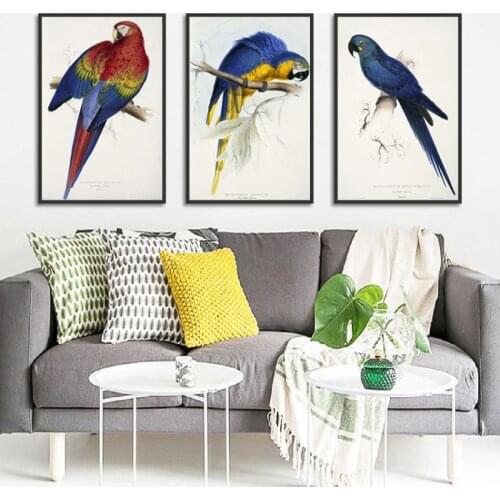 Colourful Parrots Nordic Posters And Prints Wall Art Canvas Painting Birds Pictures For Living Room Wall Decoration Frameless