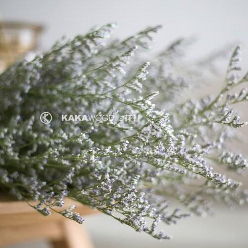 Bulk Dried Flowers Lovers Grass Photography Dried Flowers Air-Dried Mixed Dried Flowers Bouquet Dried Branches