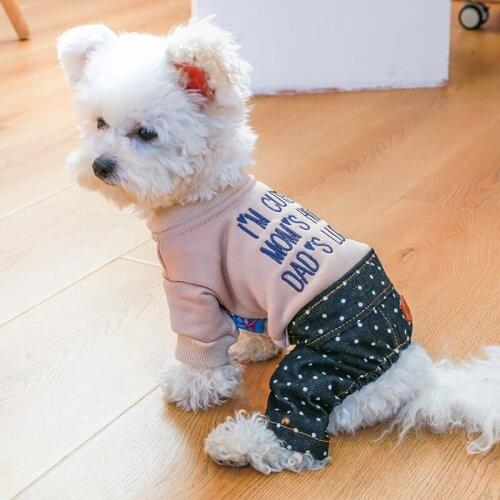 2021 Spring Autumn Pet Dog Jumpsuits Soft Cotton Letter Print Hoodie Jumpsuit For Small Medium Dog Outfits Puppy Clothes Poodle