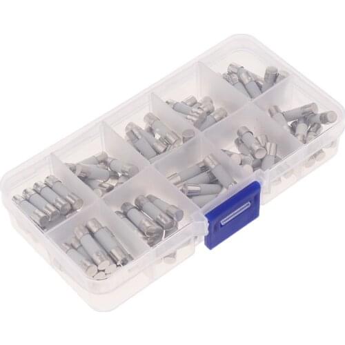 100x Quick Blow Ceramic Tube Fuse Assorted Kit 10 Values 5x20mm 250V 0.5-30A