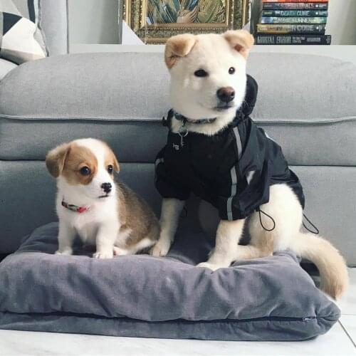 Pet Dogs Jackets Waterproof Breathable Raincoats For Pets S-5XL Larger Dogs Jacket Fat Dog Pug Akita Shepherd Puppy Clothes