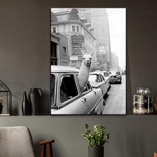 Vintage Llama Poster Black White Alpaca in the Taxi Canvas Art Print Wall Painting Decoration Picture Modern Living Room Decor