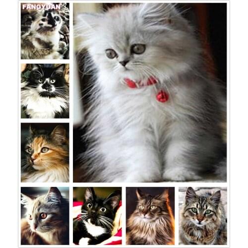 Full Drill 5D Diy Diamond Painting Cat Rhinestones Pictures Diamond Embroidery Animals Cross Stitch Mosaic Home Decoration Gift