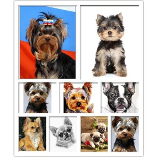 Diamond painting dog new square/round stone diamond embroidery animal pet dog diamond mosaic for sale home decoration