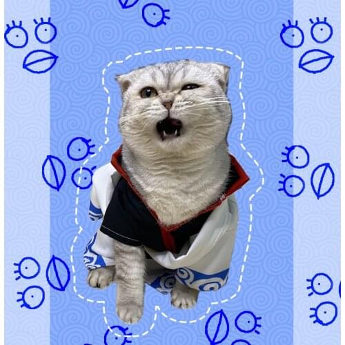 Japan Anime GINTAMA Sakata Gintoki Little Cat Clothes Hoodie Coat Cosplay Costumes Take Photo Props Dog Pet Supplies Spring