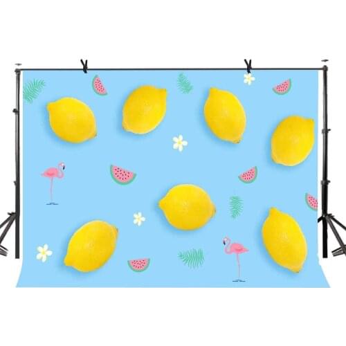 7x5ft Light Blue Backdrop Shallow Blue Fruit Minimalistic Photography Background and Studio Photography Backdrop Props