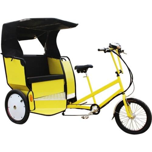 New Style Pedicab Rickshaw Electric 6/7 Speeds Pedal Three Wheels Dutch Cargo Bike No Electric Bakfiet Courier Goods Tricycle