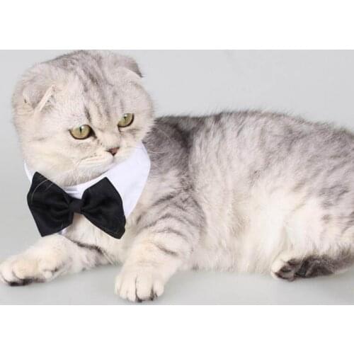 Dog Cat Bow Tie Collar Puppy Kitten Tuxedo Collar Accessories Formal Wedding Groom Suit Necktie Collars for Small Medium Dog 10A