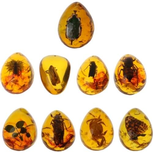 Animals Amber Butterfly Insects Stone Pendant Necklace Gemstone for DIY Jewelry 40GB