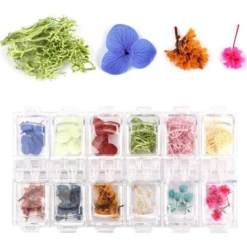 12 Grid Dried Flowers Plants DIY Nail Art Decoration Resin Jewelry Making Accessories UV Handmade Craft Epoxy Resin Filling Sets