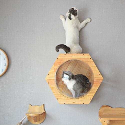 Cat Climbing Frame Space Capsule Solid Cat Wood Litter Wall Transparent Window Cat House Combination Cat Supplies