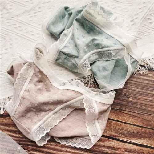 Japanese Lovely Printing Womens Underwear Coast Lace Edge Cotton Sexy Lingerie Low Waist Seamless Transparent Hollow Out Briefs