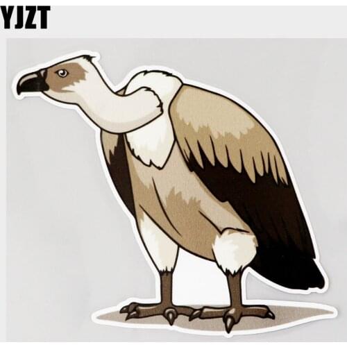 YJZT 13.8CM×12.2CM Cartoon Vulture Predators High Quality PVC Car Sticker Decal 11C-0474