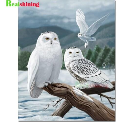 5D Diamond Painting White Snow Owls Cross Stitch Diamond Embroidery Full Square/Round Drill Rhinestones Home Decor Gift N1722