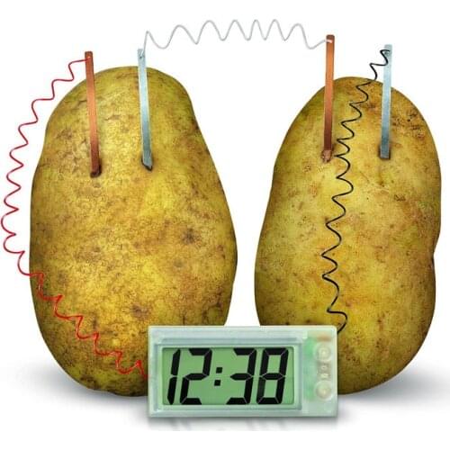 Potato Clock Novel Green Science Project Experiment Kit Lab Home School Toy funny educational DIY material for children kids