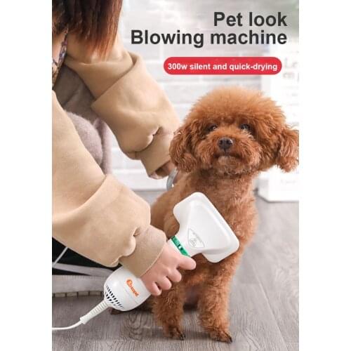 2-In-1 Portable Dog Dryer Dog Hair Dryer And Comb Brush Pet Grooming Cat Hair Comb Dog Fur Blower Low Noise