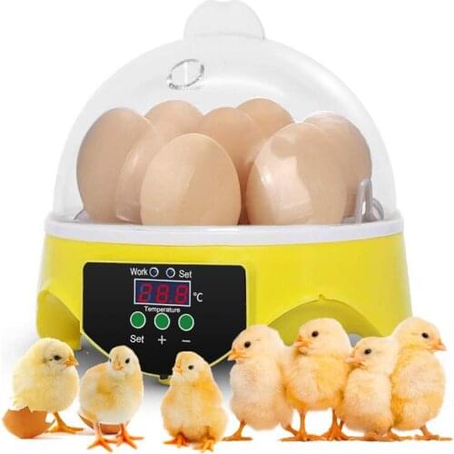 HHD Mini Incubator for Eggs 110V/220V Automatic Temperature Control Brooder Egg Incubators Machine 7 Eggs Incubator for Chichens
