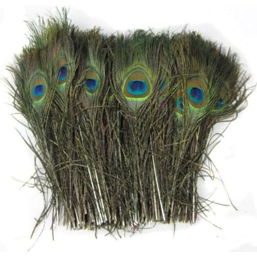 10pcs Peacock Tail Feather DIY Craft Feather Natural Peacock Feathers Eyes for Home Party Decoration