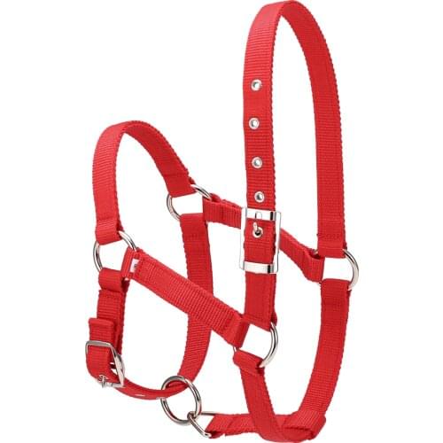 6MM Thickened Horse Riding Durable Horse Head Collar Halter Bridle Horse Riding Equipment Halter Horse Accessories