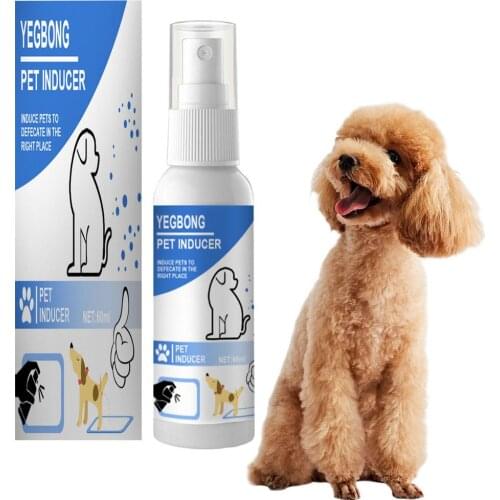 Pet Training Spray Potty Assist Dog And Puppies Liquid Cat Positioning 60ml Liquid Cat Positioning Liquid Dog Cat Trainer