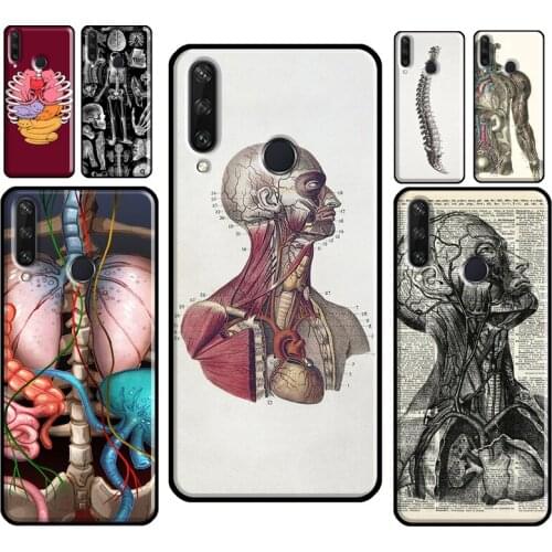 Medical Human Anatomy For Huawei Y3 Y5 Y6 Y7 2017 2018 Y9 Prime 2019 Y7A Y6P Y5P 2020 Nova 5T 2i 3i Phone Case
