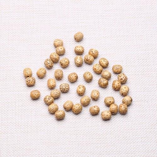Natural seed loose beads DIY jewelry production 8mm9mm handmade spacer beads jewelry production