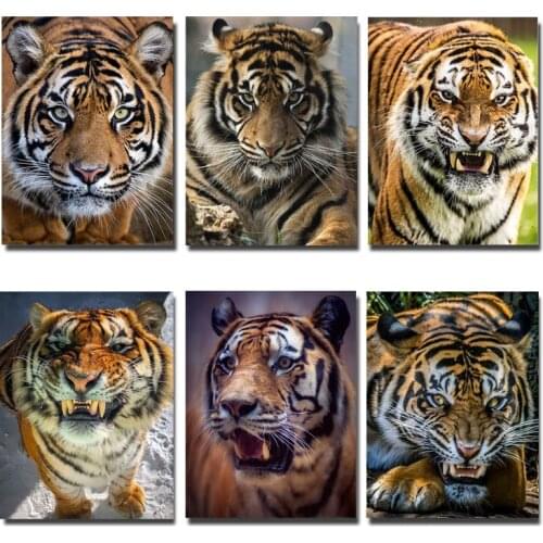 Diamond Embroidery Full Display 5D Diamond Painting Animal Diamond mosaic pictures Cross Stitch Wall decor painting
