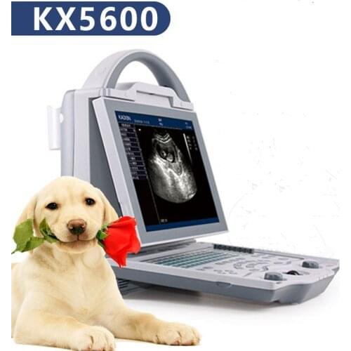 Pet Sonar Scanner Dog Uterus Scanner Cat Pregnancy Tester Fetus LED Screen Laptop Disease Scanner Pet Hospital Testing Machine