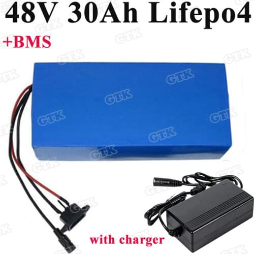 Rechargeable 48v 30ah lifepo4 battery pack with BMS 60A for 1000w 48v electric bicycle bike 1500w motor triciclo 3000w + Charger