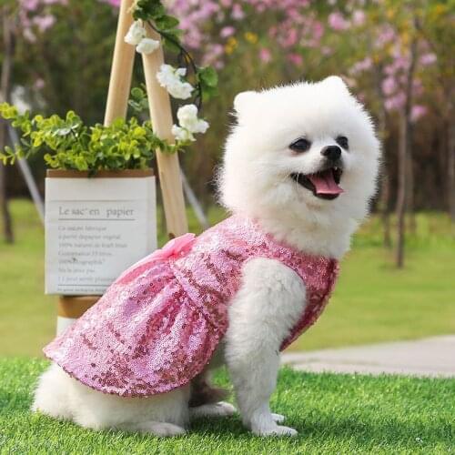 Pet Girl Dog Dress, Cute Sequined Bow Two-leg Wedding Dress In Spring Summer, Small and Medium Chihuahua French Bulldog Clothes