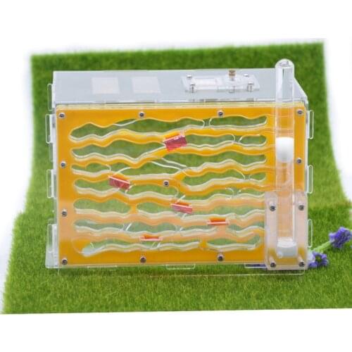 Yellow Splicing Ant Nest Acrylic Three-dimensional Moisturizing Version of Ant Farm Layered With Water Tower Large Ant Breeding
