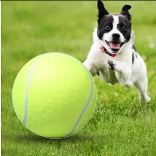 JOYLIVE 24CM Inflatable Tennis Ball Pet Dog Interactive Toys Pet Supplies Outdoor Cricket Dog Toy Giant Tennis Ball Chew Toy