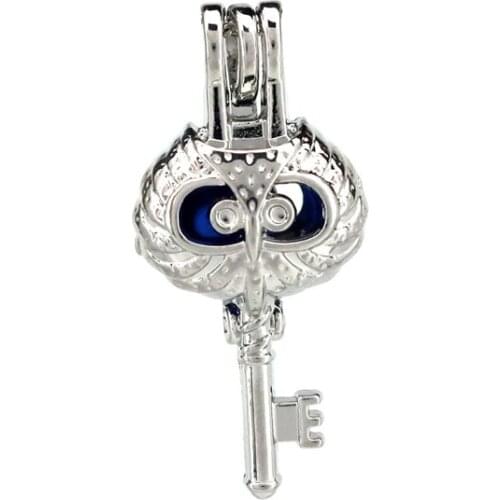 K795 5pcs/lot Owl Key Pearl Beads Cage Pendant Locket Fairytale Party Essential Oil Diffuser DIY GIFT