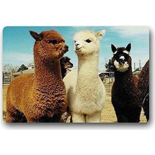 Llama Alpaca Doormat Outdoors/Indoor Machine Washable Home Floor Mats Rugs 23.6 x 15.7 Inches