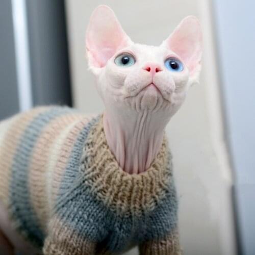 New Autumn Winter Sphynx Cat Clothes Warm Cashmere Sweater For Hairless Cat Clothes Classic Puppy Pet Cats Clothes Dog Vest