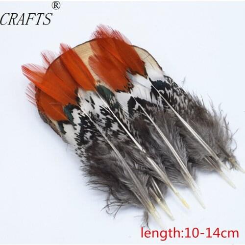 New! sale high 10 pieces Lady Amherst Pheasant feathers, 4-6inches / 10-15cm, DIY decorative handicrafts