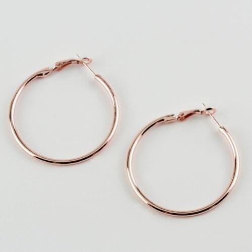 Locked Loop Earrings (4 cm)