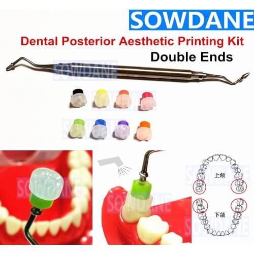 1 set Dental Aesthetic Printing Mold Restoration of Posterior Teeth Printing Mould Dental Resin Composite Trimmer Spatula Tool