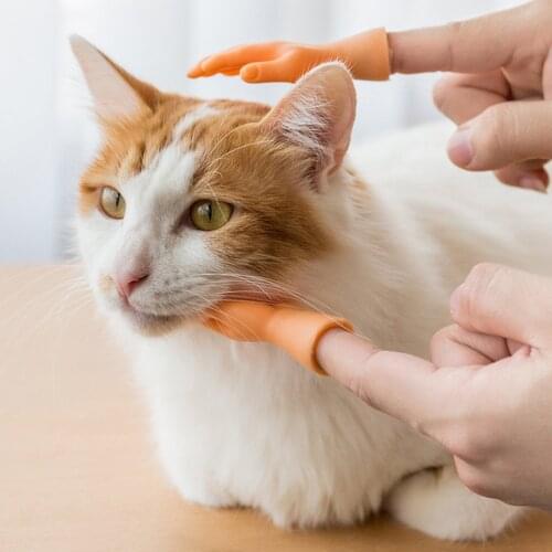 2 Pcs Finger Hands Cartoon Funny Cat Toy Creative Finger Sleeve Toys Small Hand Finger Model Halloween Gift Toys New