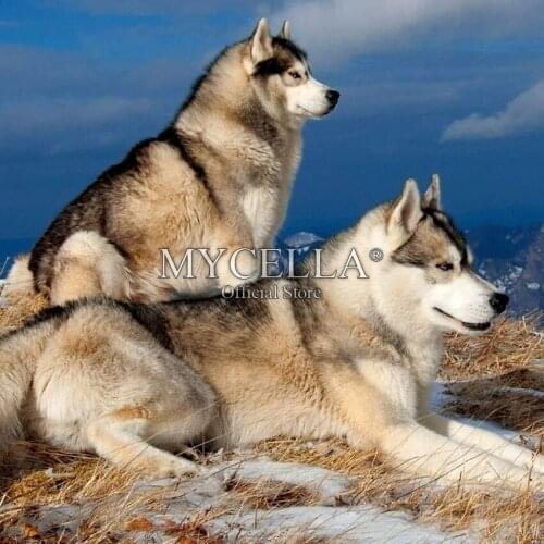 Full Round 5D DIY Diamond Painting Factory Outlet Diamond Embroidery Cross Stitch Diamond Mosaic Wolf Couple Home Decor Animals