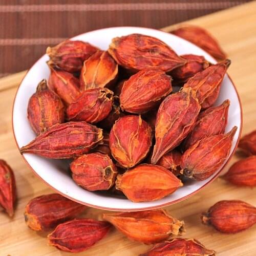 CAPE JASMINE FRUIT GARDENIA JASMINOIDES ELLIS ZHI ZI