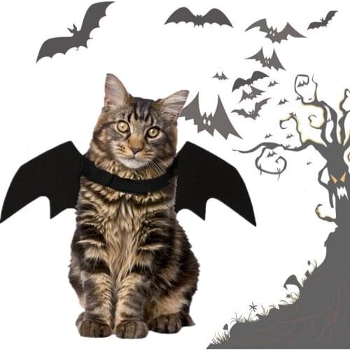 Black Halloween Bat Wing Pet Cat Vest Costume Small Dog Cat Vampire Wing Vest Cat Puppy Cool Party Clothes Dress Pet Custome
