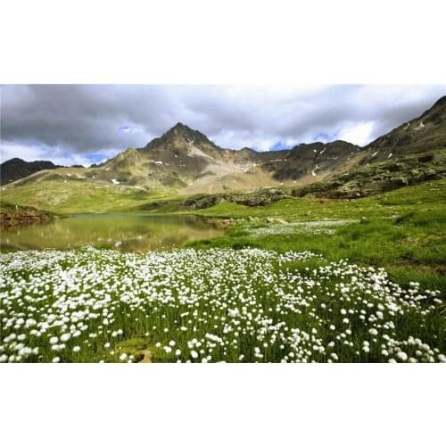 LIFE MAGIC BOX Mountain 200x150cm Custom Photo Backdrops Background Screens For Photography floral photo backdrop scenery N10072