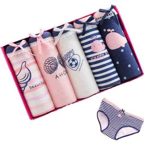 5Pcs/lot Pantis Women Underwear Cotton Briefs Sexy Panties Women Lace Lingeries Cueca Calcinhas VS Pink Shorts Underpants Girls