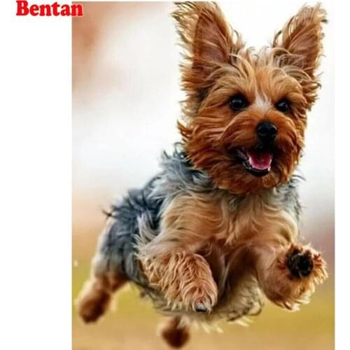 5D Diamond Painting Full Square Round Drill Yorkshire Terrier Pet Dog Embroidery Diy Diamond Mosaic Cross Stitch New Year Gift