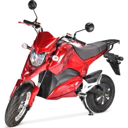 Newest Fat Tire 17Inch Electric Motorcycle Electric Scooter 2000W Brushless Hydraulic Electric Citycoco For A doult