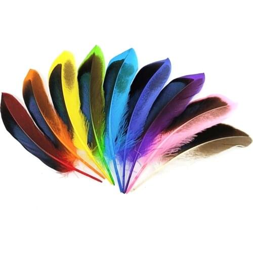 Wholesale Colored Pheasant Feathers for Crafts 10-15cm Natural Feather Headdress DIY Jewelry Creation Holiday Decorations Plumas