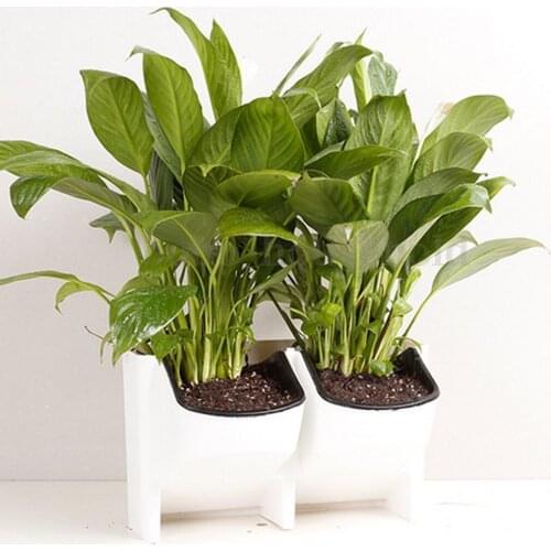 4Pcs Stackable Self Watering 2-Pocket Wall Planter Hanging Plant Pot White Outdoor Vertical Garden Decor Hot Sale