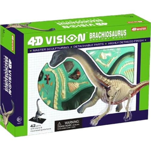 Winding dragon 4D MASTER puzzle assembly toy animal small dinosaur organ anatomy medical teaching model